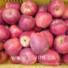 Hight Qualidade Fresh Huaniu Apple, Apple FUJI, Qinguan Apple